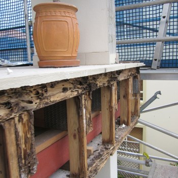 Termite-damage-upper-floor