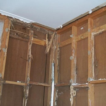 Termite-damage-walling